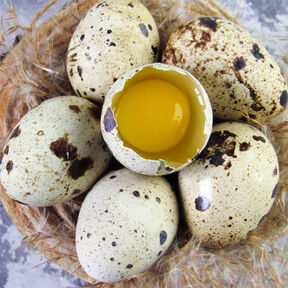 Фото Сколько по времени варить перепелиные яйца? Рецепты и рекомендации