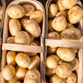 Фото Что можно приготовить из картошки: идеи вкусных и быстрых блюд на ужин или обед