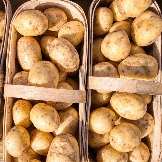 Фото Что можно приготовить из картошки быстро и просто: идеи вкусных и быстрых блюд на ужин или обед